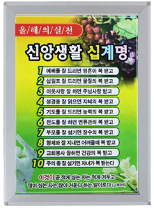 라이트판넬